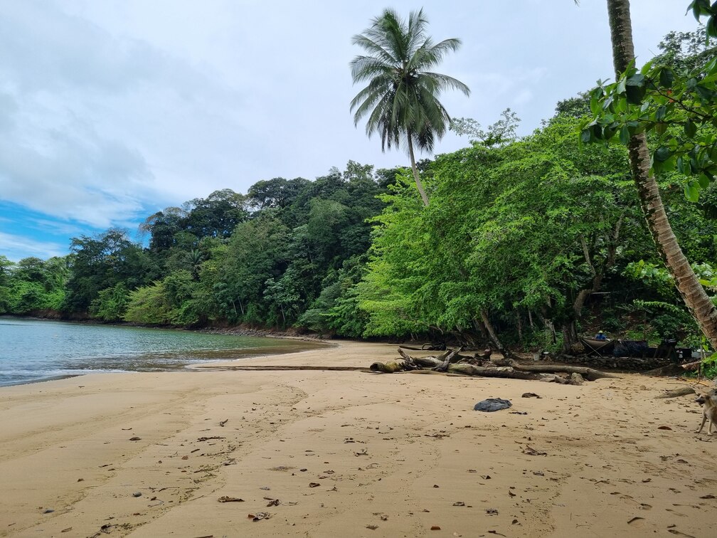 Construction of a port in Ponta Mina